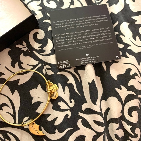 Alex and Ani Friendship Bangle Bracelet-"Best band" - Picture 4 of 4